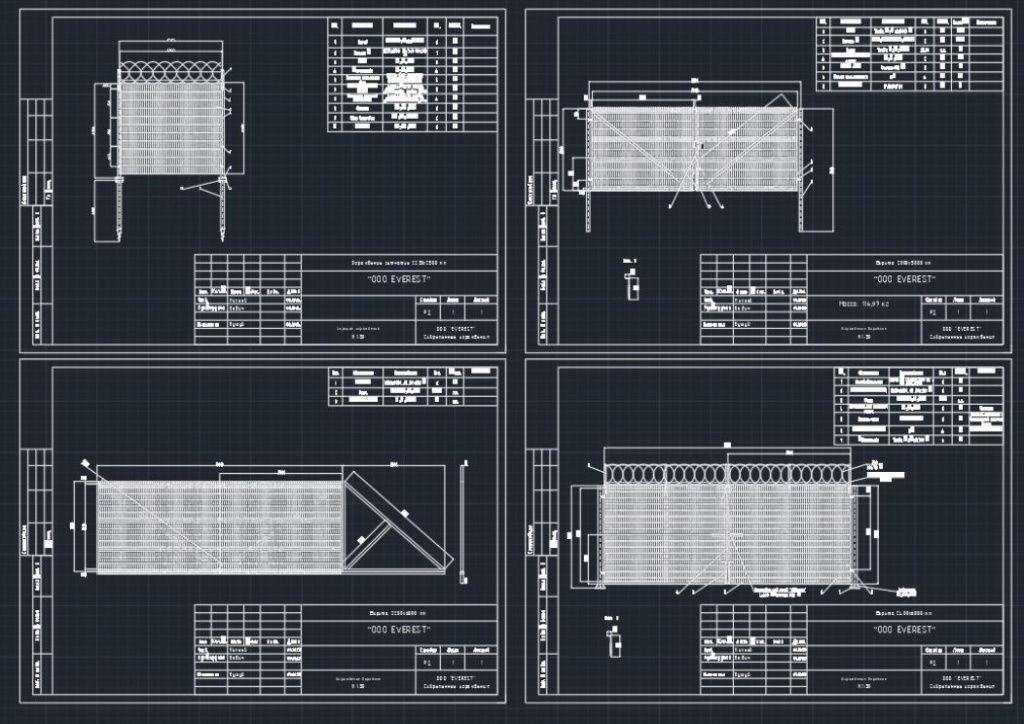 Everest DWG-1.jpg